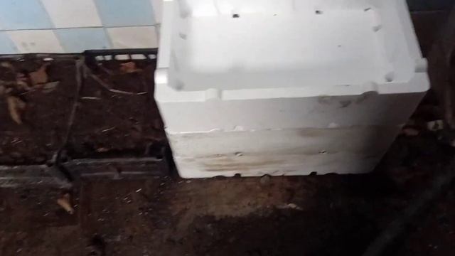 კომპოსტერი თქვენი ბოსტანისათვის смотреть онлайн