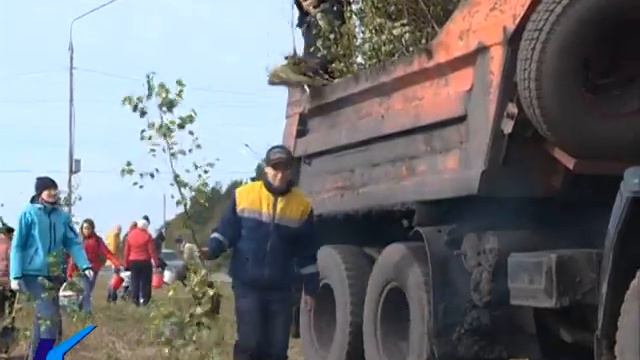 14 09 2018 На 1500 деревьев в Киселевске стало больше смотреть онлайн