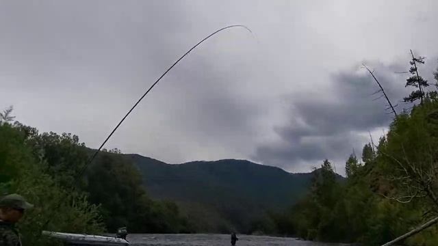 ЛЕНОК на МУШКУ,ПРОДОЛЖАЕМ ТЕСТИРОВАТЬ МУШКИ!!!