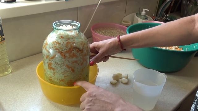 утро начинается с кухни, сезон заготовок, икра и капуста, Шаповаловы влог, кухня