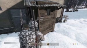 Новогоднее приключение / SAYONARA / DayZ