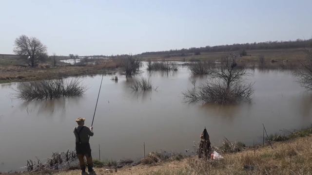 пруд Черноморец 04.04.2018г. карпик гуляет! смотреть онлайн