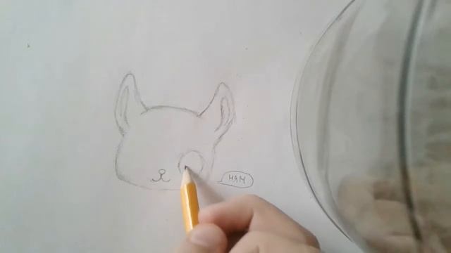 Рисуем LPS шиншиллу. #1 смотреть онлайн