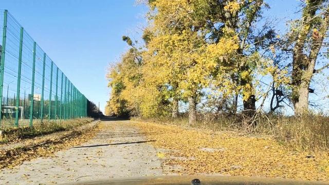 Рубрика/Стихи из старой тетрадки/ "Осеннее дежавю "/ Юрий Онищук? смотреть онлайн