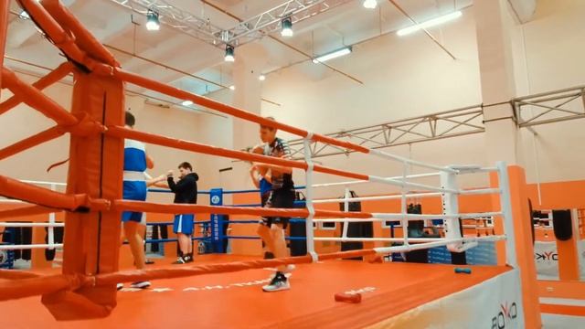 Школа Бокса Александра Ткаченко смотреть онлайн