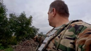 Маленькая бензопила Sturm! GC9912 в работе.Deaf.