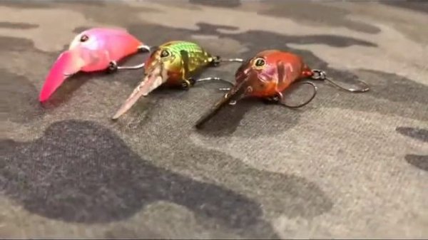 Воблер Jackall PaniCra DR