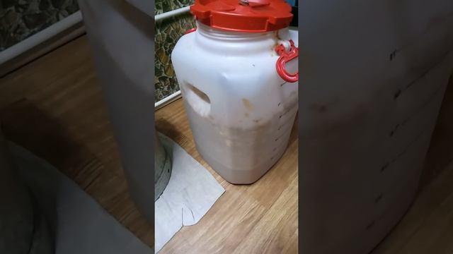 Рекомендация по работе с яблоками и грушами