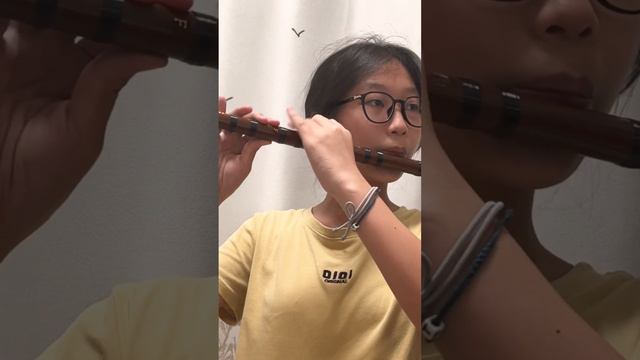F key Dizi Flute Exercise #diziflute #chinesedizi смотреть онлайн