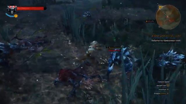 The Witcher 3 Wild Hunt. Потрясающий момент