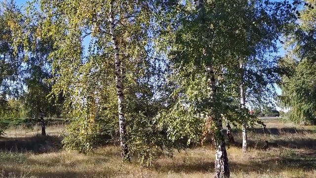 24 сентября-ДЕНЬ ФЕДОРЫ ОСЕННЕЙ/Что НАДЕТЬ сегодня/Приметы смотреть онлайн