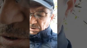 Зимовка пчел по методу братьев Марченко .Что осталось в семьях после изоляции.