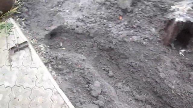 Как поймать слепыша в декабре смотреть онлайн