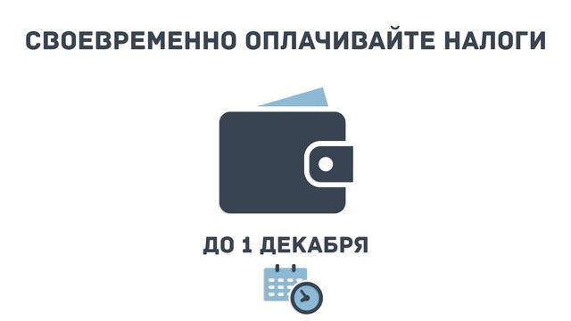 Успей уплатить налоги до 1 декабря! смотреть онлайн