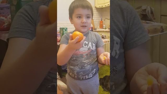 Сегодня в программе Наш сад ! Как вырастить мандарин дома) Смотреть до конца!!! смотреть онлайн