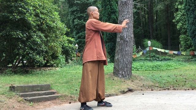 易筋經 · Yi Jin Jing (1-12 · Full Explanations) · ИЦзиньЦзин +Subtitles