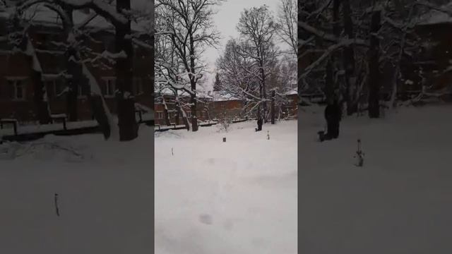 город Кубинка, улица Сосновка, 3 января 2019 смотреть онлайн