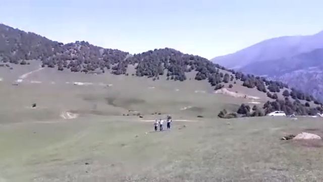 Кара кой2 смотреть онлайн