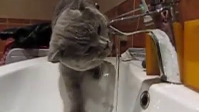 Canon PoweShot SX 220 HS Slow Motion