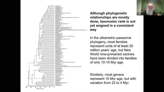 BOC; Prof. Jon Fjeldså 'The Evolution of Passerine Birds Explained' смотреть онлайн
