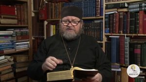 Второзаконие. Глава 22. Протоиерей Олег Стеняев. Библия.mp4