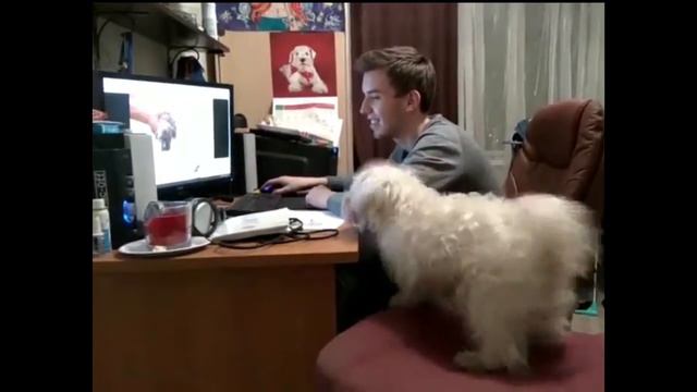 СОНЯ-МОНСТР смотреть онлайн