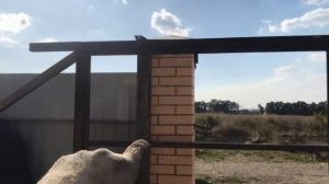 Откатные ворота 6 метров на консольной балке своими руками