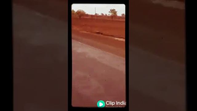 Grand pa racing смотреть онлайн