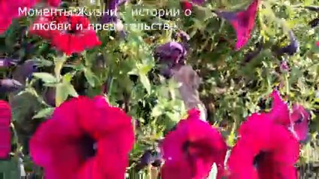 ?Свекровь с тещей наперегонки просили подарки у детей и потом друг перед другом хвастали, но спустя смотреть онлайн