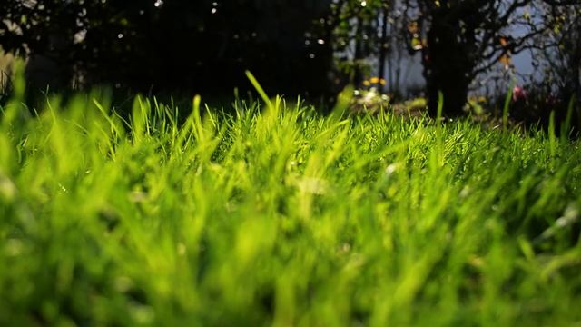 Nikon D3100 hd 1080p + Photoshop смотреть онлайн