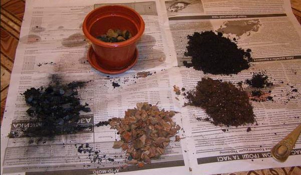 Грунт для гузмании: какой подходит, как сделать самостоятельно, а также информация о земле, которую смотреть онлайн