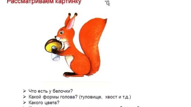 Научите ребенка рисовать белку смотреть онлайн
