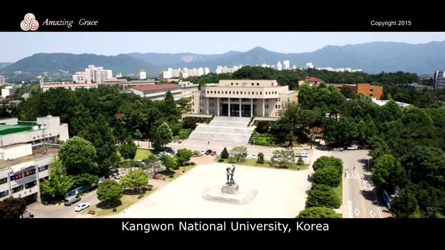 Phellinus linteus mushroom history смотреть онлайн