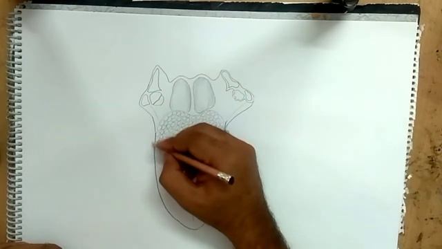 how to draw Tongue anatomy смотреть онлайн
