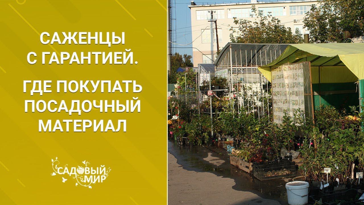 Саженцы с гарантией. Где покупать посадочный материал смотреть онлайн