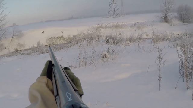 Охота на УТКУ с подхода! Снег и мороз, Ноябрь 2016! ( Не опубликованное ранее видео ) смотреть онлайн