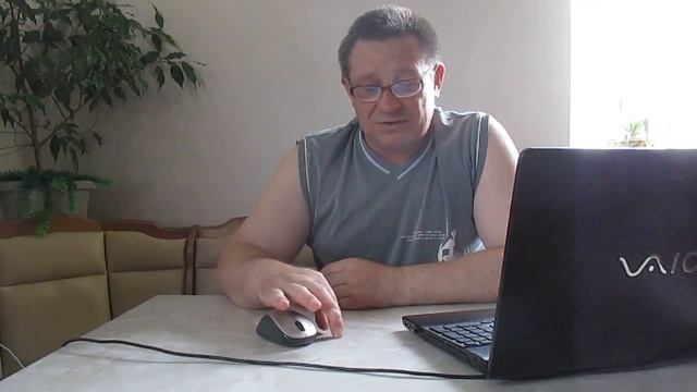 Вопросы и ответы о птицах смотреть онлайн