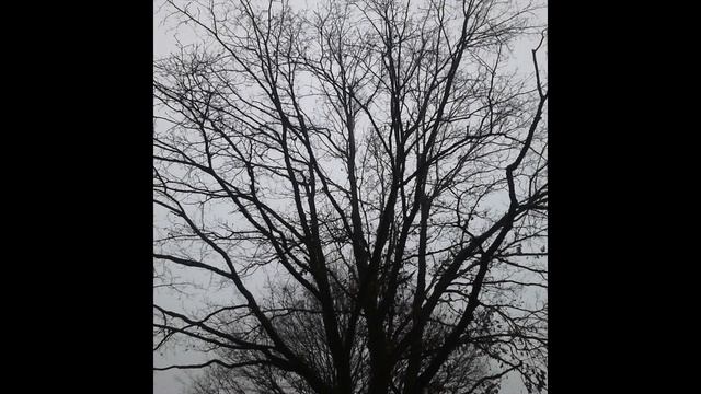 Somberheid - Autumn Frost смотреть онлайн