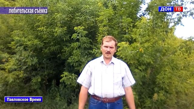 Праздник улицы Садовая в с. Михайловка. г Павловск Воронежской обл смотреть онлайн