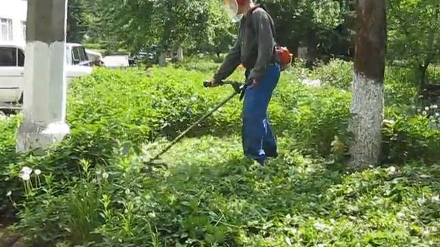 Мотокоса ECHO в работе смотреть онлайн