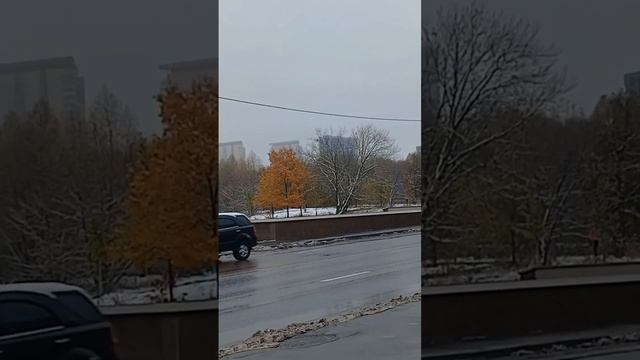 Два Автобуса 461 и Автобусы 374 и 226 смотреть онлайн