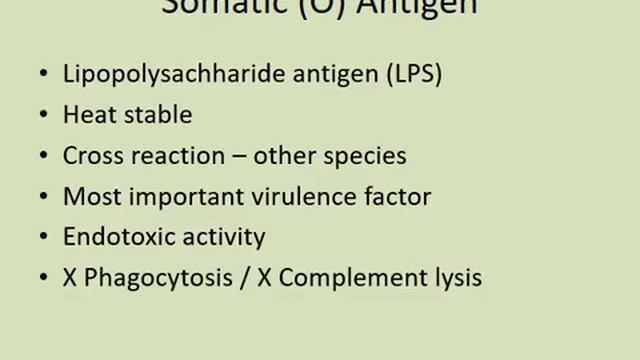 Enterobacteriaceae & E coli - Lecture Dr Sanjay Mehta смотреть онлайн