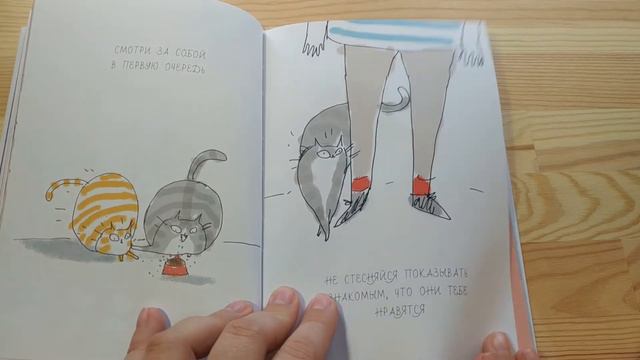 Обзор книги ПРАВИЛА ЖИЗНИ МОЕГО КОТА смотреть онлайн