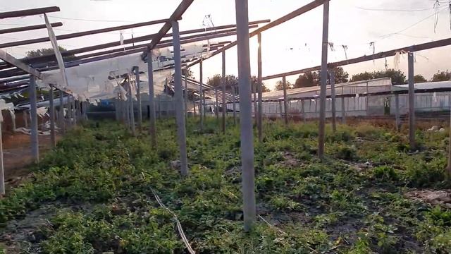 КАК ЖИВУТ НА ЮГЕ?! / ОБЗОР ДОМА СТ. МИХАЙЛОВСКАЯ КУРГАНИНСКИЙ РАЙОН/ 40 СОТОК.... смотреть онлайн