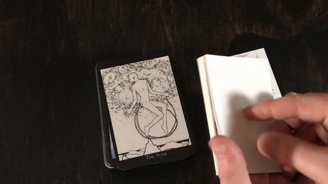 Three New (to me) Decks: Piatnik Wien, Cheimonette, L'Oracle Des Reflet смотреть онлайн
