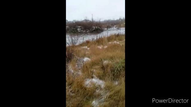 Видео от подписчицы|Аномальная зима, декабрьское половодье и обещанные зайцы|Липецкий район| смотреть онлайн