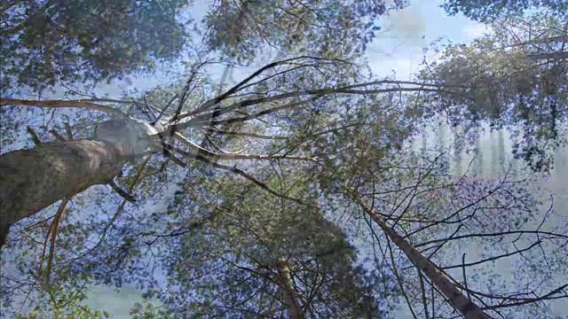 Ума Турман - Кажется никогда.