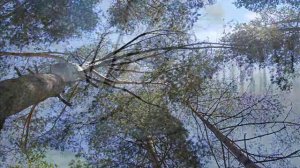 Ума Турман - Кажется никогда.