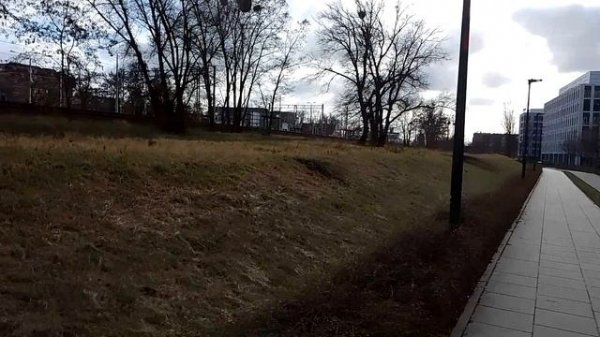 Na kilka tematów (27-01-2024)