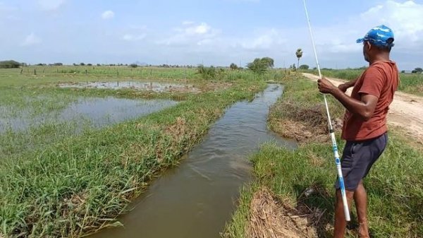 Fishing | Amazing fishing | Catching catfish & baam fish
